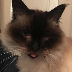 Writing Update, 6th March 2019